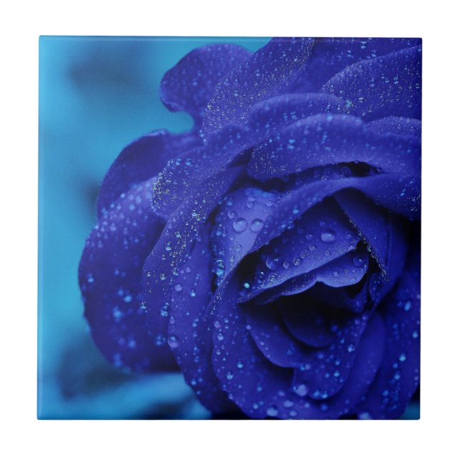 Blue rose flower ceramic tile (Front)