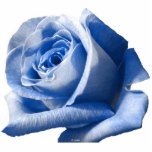 Blue Rose Photo Sculpture<br><div class="desc">Blue Rose photo sculpture</div>