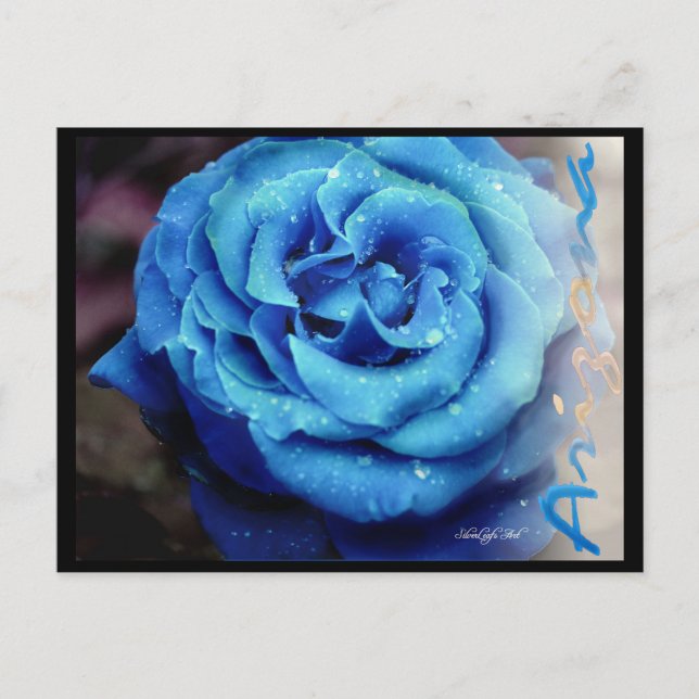Blue Rose Postcard (Front)