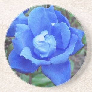 Blue Rose Sandstone Coaster