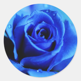 Blue rose sticker
