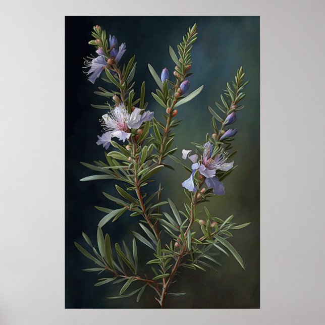 Blue Rosemary Flowers Art Print Poster (Front)