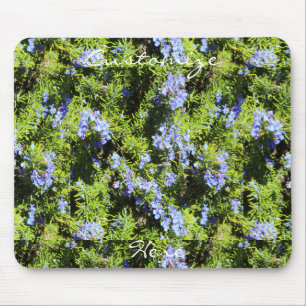 blue rosemary flowers green needles Thunder_Cove Mouse Pad