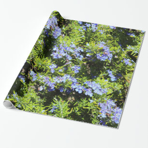 blue rosemary flowers on green wrapping paper
