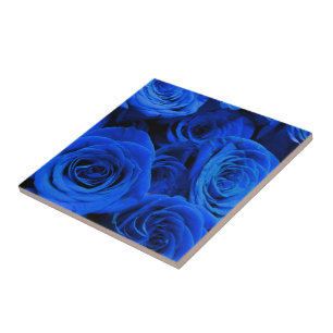 Blue Roses Ceramic Tile