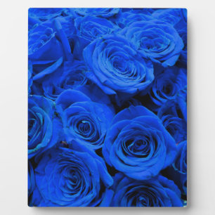 Blue Roses Plaque