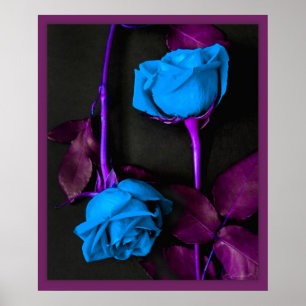 Blue Roses Print -20x24 -other sizes available