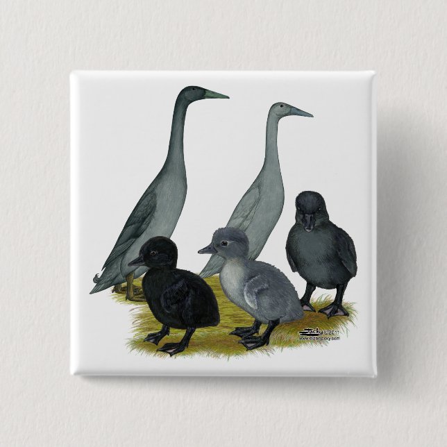 Blue Runner Duck Family 15 Cm Square Badge (Front)