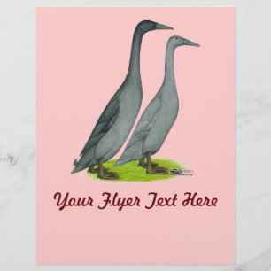 Blue Runner Ducks Flyer