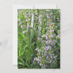 Blue Sage Flowers Custom Invitations