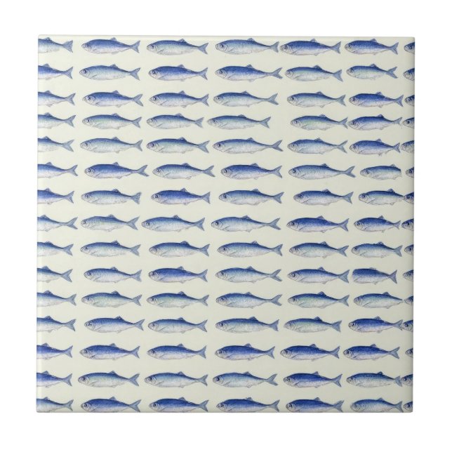 Blue Sardines Horizontal Minimal Coastal Pattern Ceramic Tile (Front)