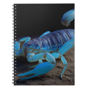 Blue Scorpion Glow Notebook