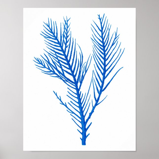 Blue Sea Coral Print #10 Beach Home Decor (Front)