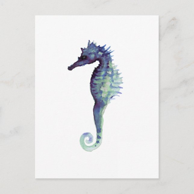 Blue sea horse design nautical oceanic seahorses postcard (Front)