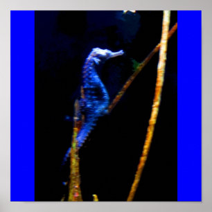 Blue Seahorse CB Poster