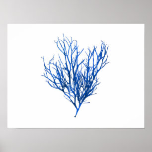 Blue Seaweed #10 42x32 cm Poster