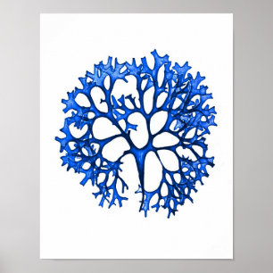 Blue Seaweed Print No. 12 Coastal Botanical Print.