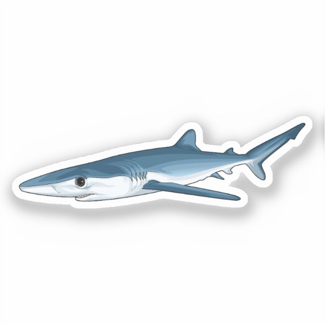 Blue Shark (Front)