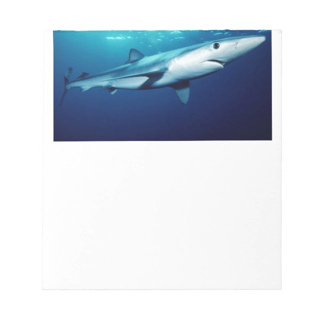 Blue Shark Notepad (Front)