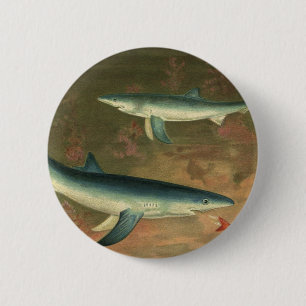 Blue Sharks Eating Fish, Vintage Marine Life 6 Cm Round Badge