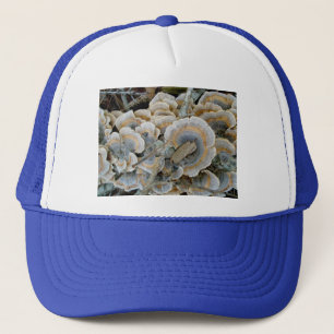 Blue Shelf Fungus Hat