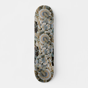 Blue Shelf Fungus Skateboard