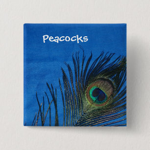 Blue Single Peacock Feather 15 Cm Square Badge