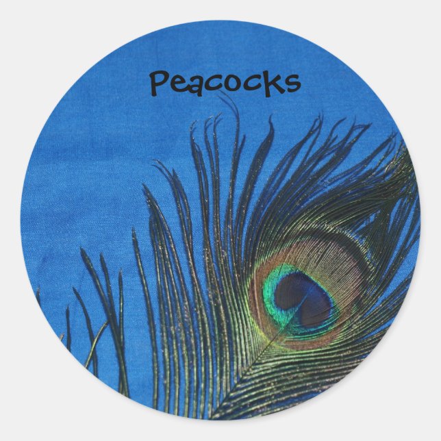 Blue Single Peacock Feather Classic Round Sticker (Front)