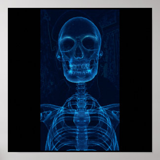 Blue skeleton poster