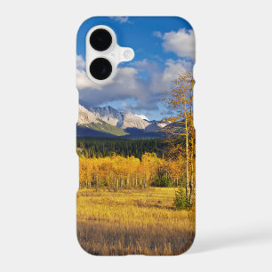 Blue skies and clouds above a meadow