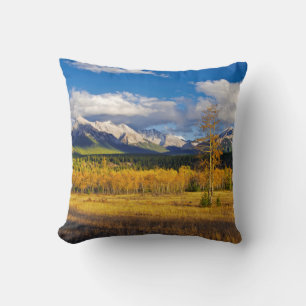 Blue skies and clouds above a meadow cushion
