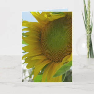 Blue Skies and Friendly Flower Sunflower Card