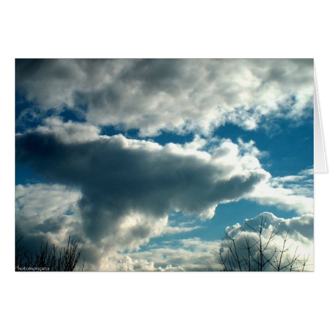 Blue Sky (Front Horizontal)