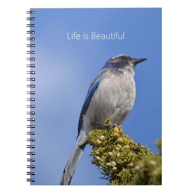 Blue Sky Bluebird Tree (my photography) Notebook (Front)