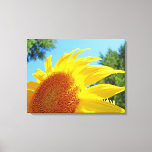 Blue Sky canvas prints Yellow Sunflowers Garden