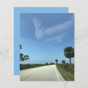 Blue Sky Florida Highway Palms Scrapbook Paper
