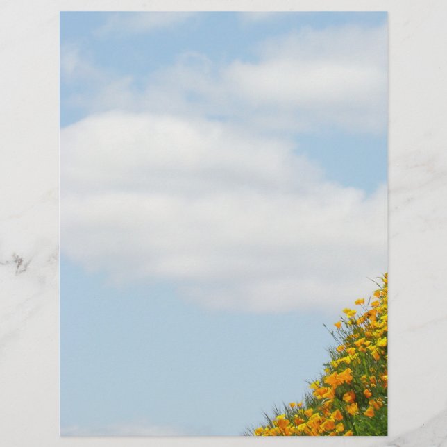Blue Sky White Clouds Summer Flyers theme paper (Front)