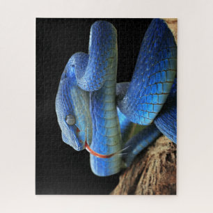 Blue snake jigsaw puzzle