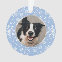 Blue Snowflake Paw Pattern Pet Photo