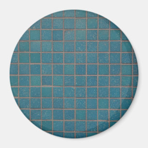 blue speckled tiles magnet