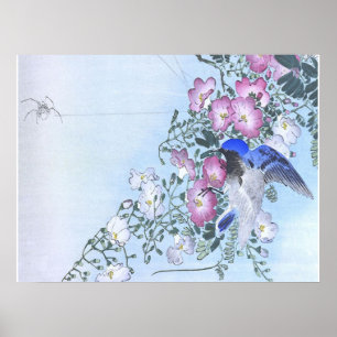 Blue Spider Bird Flower Print   Spider Lovers
