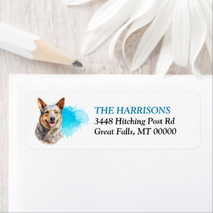Blue Splash Australian Cattle Dog Return Address Label