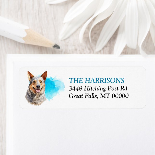 Blue Splash Australian Cattle Dog Return Address Label (Insitu)