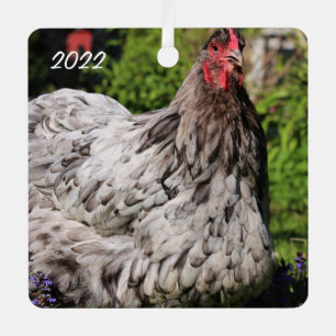 Blue Splash Orpington Hen  - Pet Chicken Metal Tree Decoration