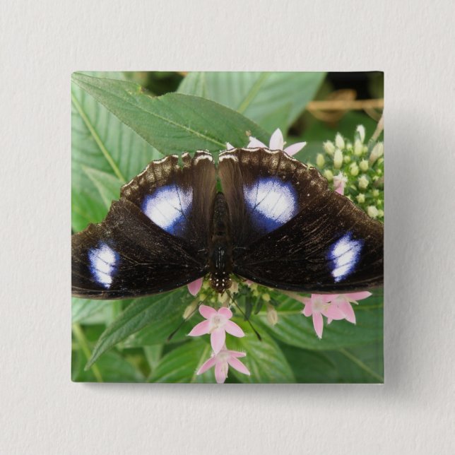 Blue Spotted Butterfly Button (Front)