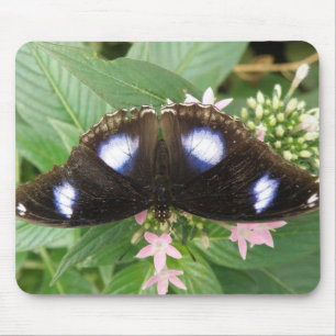 Blue Spotted Butterfly Mousepad