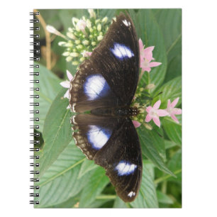Blue Spotted Butterfly Notebook