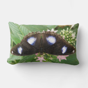 Blue Spotted Butterfly Pillow