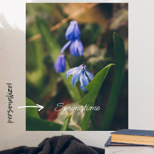 Blue Spring Flower Poster