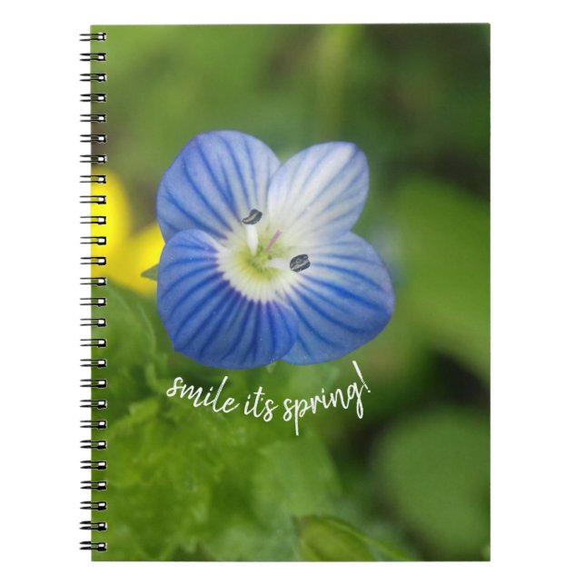 blue spring - notebook (Front)